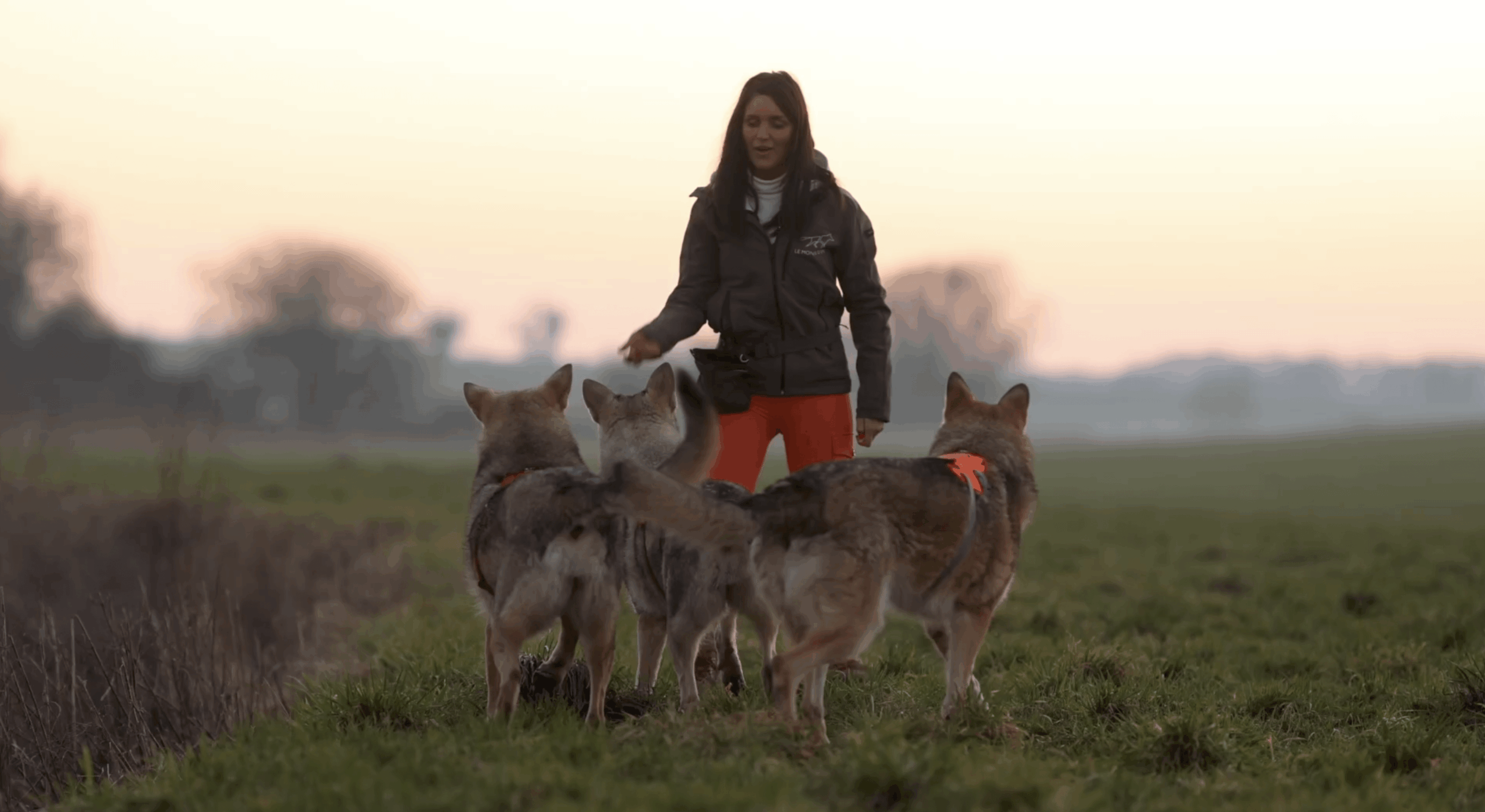 Accueil - Le monde d'émi